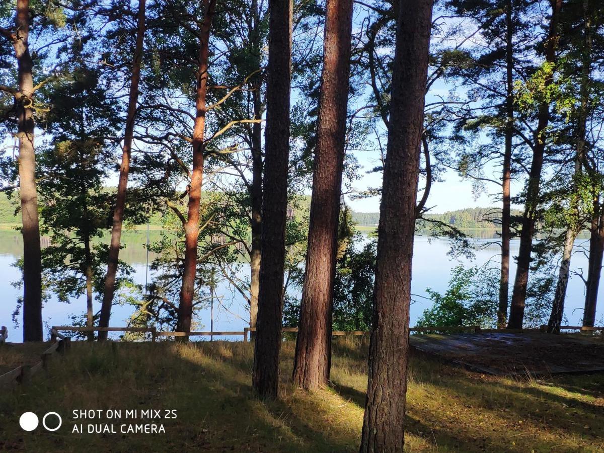 Sloneczny Domek Borsk Nr 2 I 15 - Nad Samym Jeziorem W Pierwszej Linii エクステリア 写真
